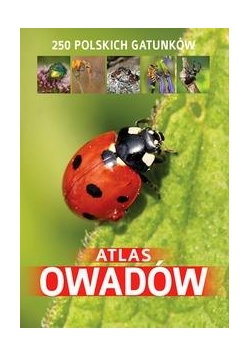 Atlas owadów. 250 polskich gatunków
