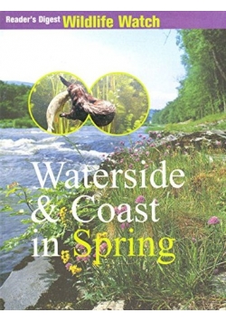 Waterside and Coast in Spring