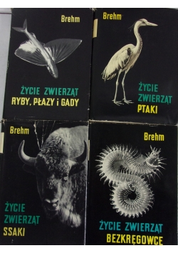 Życie zwierząt- zestaw 4 książek