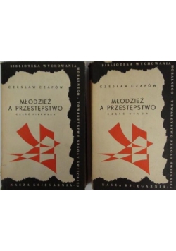 Młodzież a przestępstwo, T. III