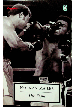 The Fight