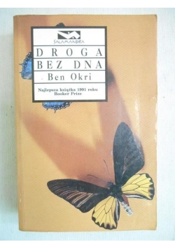 Droga bez dna