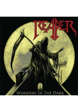 Wonders in the dark, CD