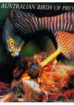 Australian birds of prey