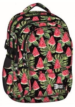 Plecak 4-komorowy Spine-Friendly Watermelon