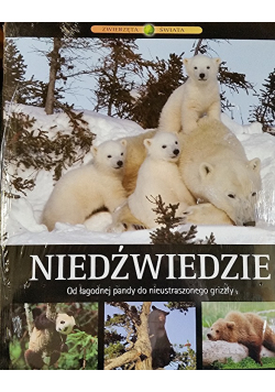 Niedźwiedzie