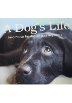A Dogs Life