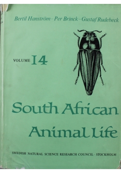 South African Animal Life