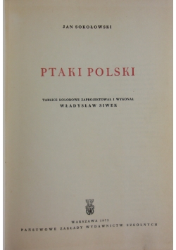 Ptaki Polski