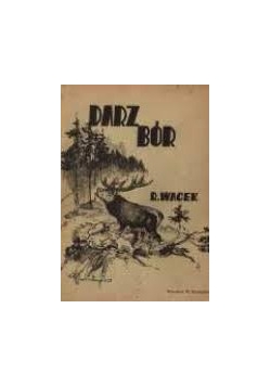 Darz bór 1936r.