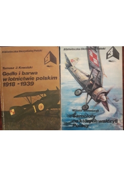 Godło i barwa w lotnictwie polskim 1918 - 1939 / Samoloty na których walczyli Polacy