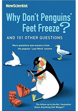 Why don't penguins feet freeze ?
