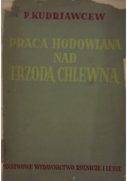 Praca hodowlana nad trzodą chlewną