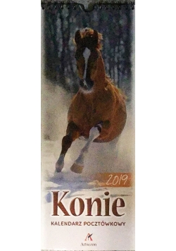 Kalendarz 2019 Pocztówkowy Konie