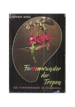 Farbenwunder der Tropen
