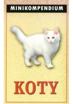 Koty