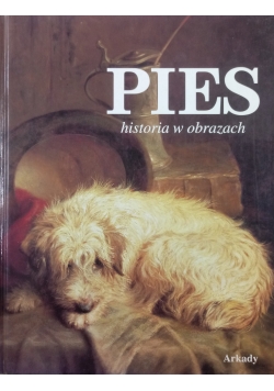 Pies historia w obrazkach