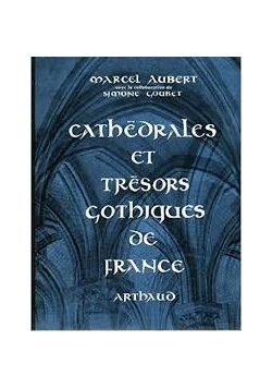 Cathedrales et tresors gothiques de france