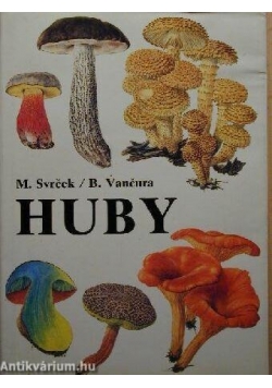 Huby