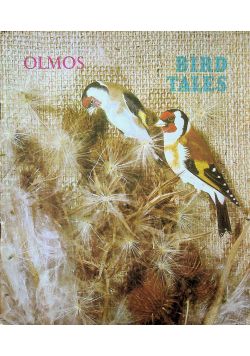 Olmos Bird Tales
