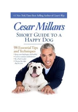 Short Guide to a happy dog