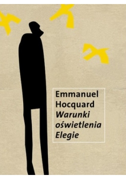 Warunki oświetlenia Elegie