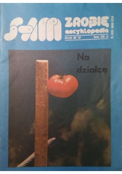Na działce Sam Zrobię encyklopedia
