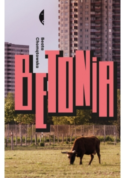 Betonia Dom dla każdego