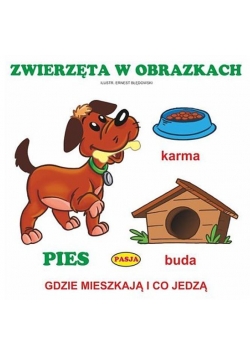 Zwierzęta w obrazkach