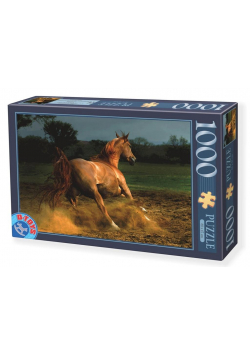 Puzzle 1000 Galopujący koń