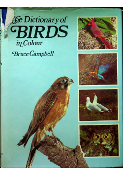 The dictionary of birds in colour