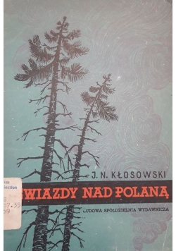 Gwiazdy nad polaną