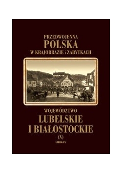 Województwo lubelskie i białostockie t.10