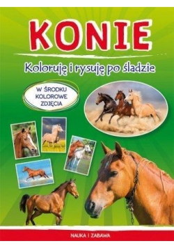 Koloruję i rysuję po śladzie. Konie