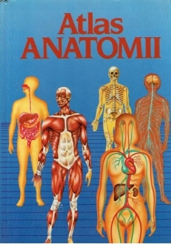 Atlas Antomii
