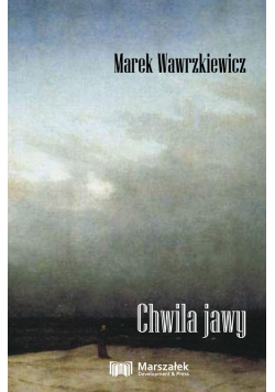 Chwila jawy