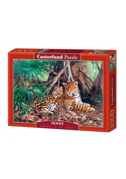 Puzzle 3000 Jaguary w dżungli CASTOR