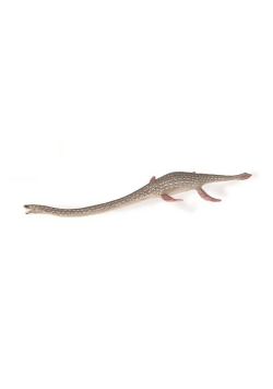 Elasmosaurus