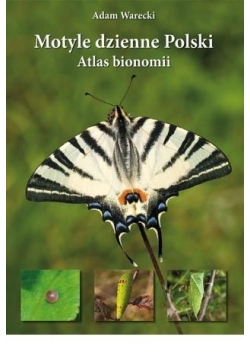 Motyle dzienne Polski. Atlas bionomii TW w.2021