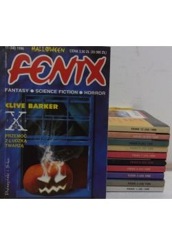 Fenix magazyn literacki. Zestaw 11 książek