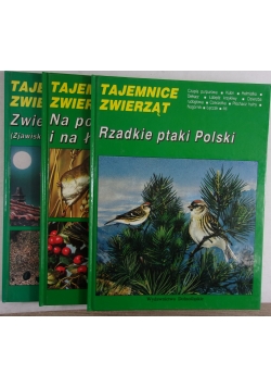 Zwierzęta niewidoczne / Na polach i na łąkach / Rzadkie ptaki Polski