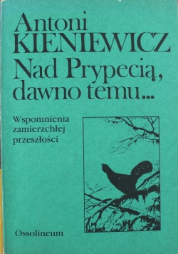 Nad Prypecią dawno temu