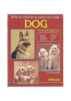 How to choose & care for your dog