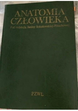Anatomia człowieka