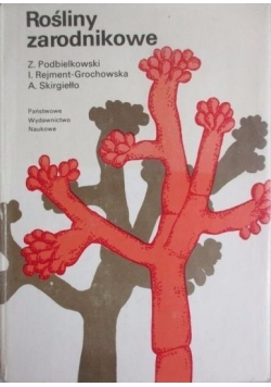 Rośliny zarodnikowe