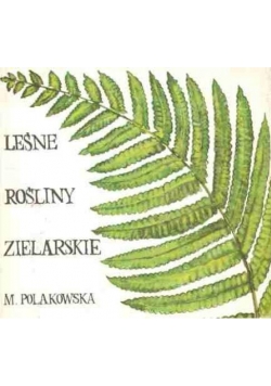 Leśne Rośliny Zielarskie