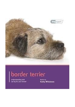 Border Terrier - Dog Expert