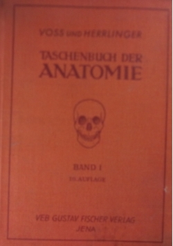 Taschenbuch der Anatomie