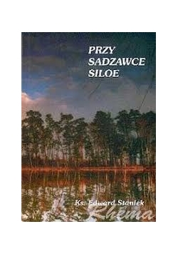 Przy sadzawce Siloe