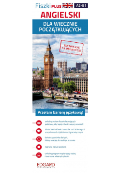 Angielski Fiszki Plus dla wiecznie początkujących
